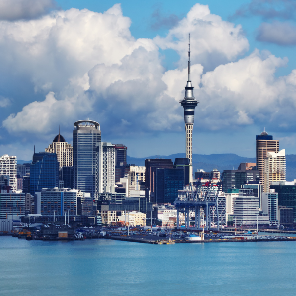 INSTITUTIONS IN NEW ZEALAND