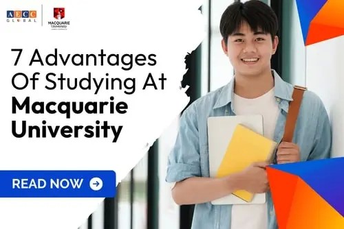 7 Advantages of Studying at Macquarie