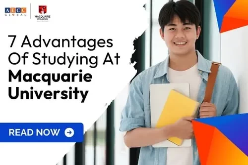 7 Advantages of Studying at Macquarie University (Courses and Fees)