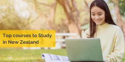 Top courses to Study in New Zealand